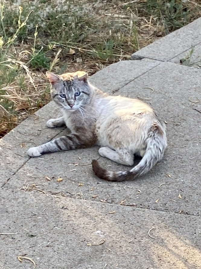 June Meeting Wrap-up