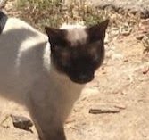 July 2023 Newsletter