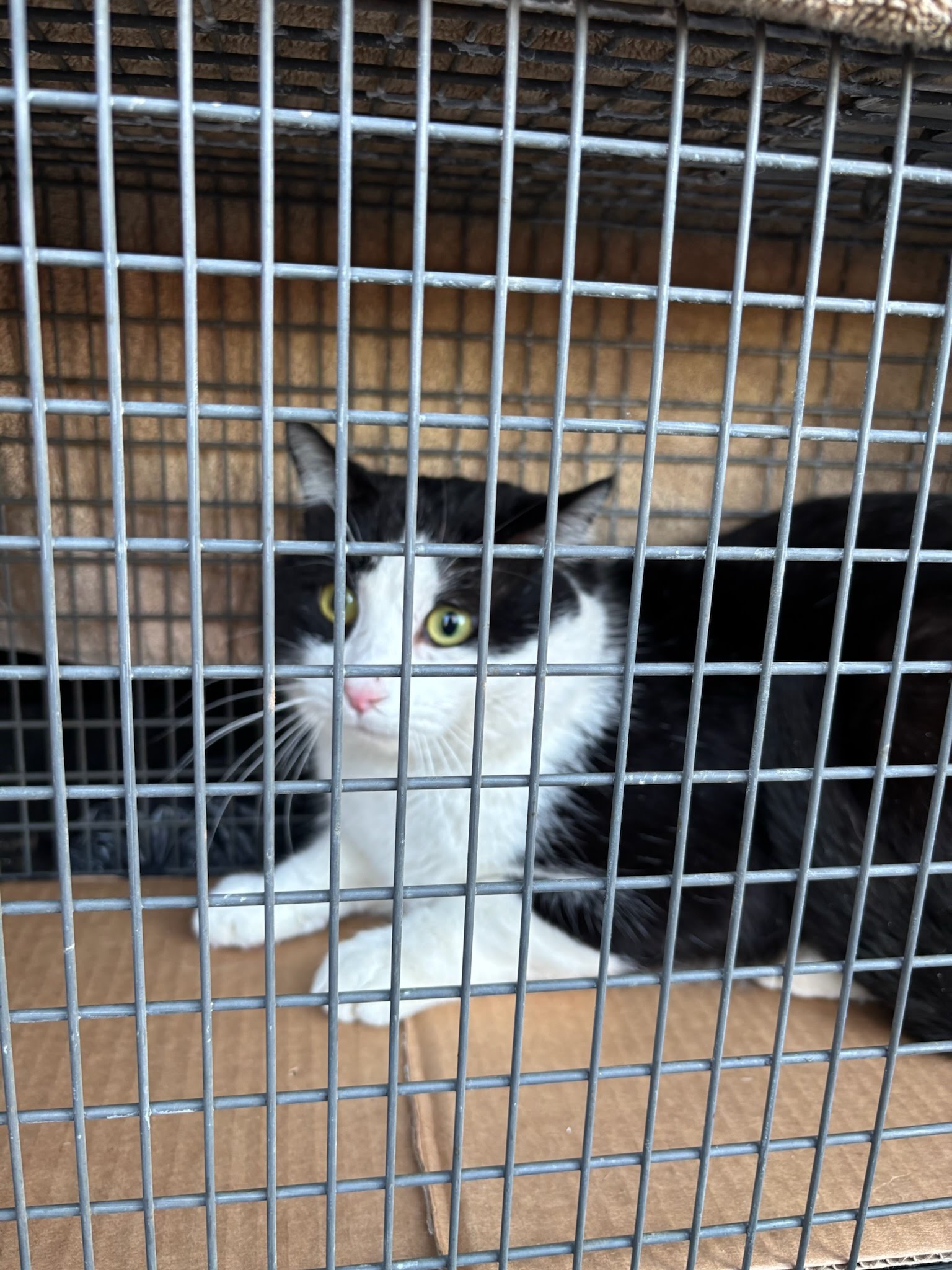 It’s a NEW exciting Year!