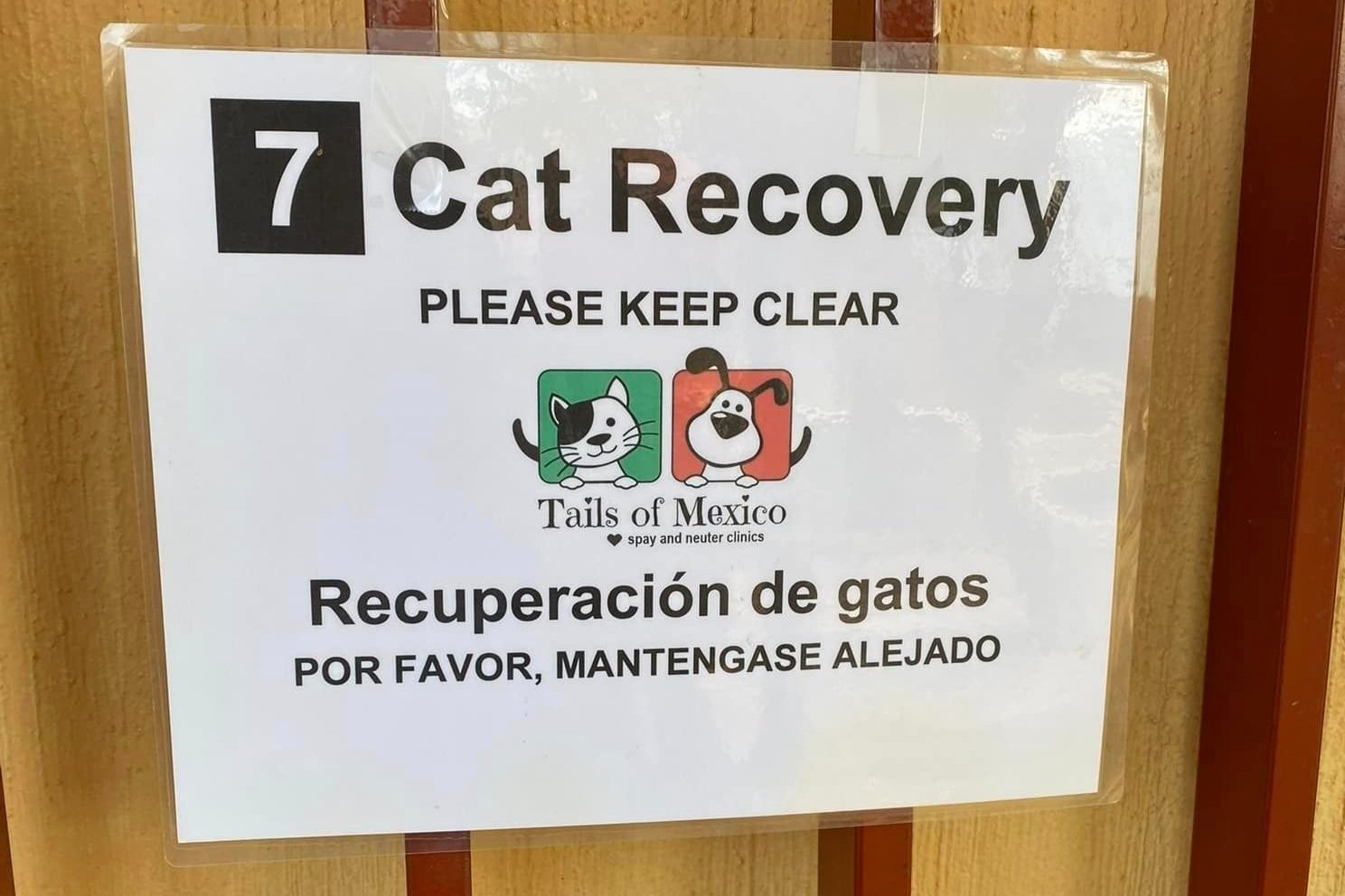 Spay and Neuter Clinic in Mexico