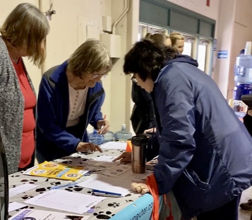 Busy Weekend Wrap-up