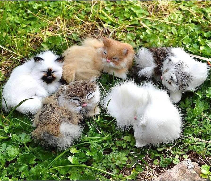 Spay and neuter is always the answer.