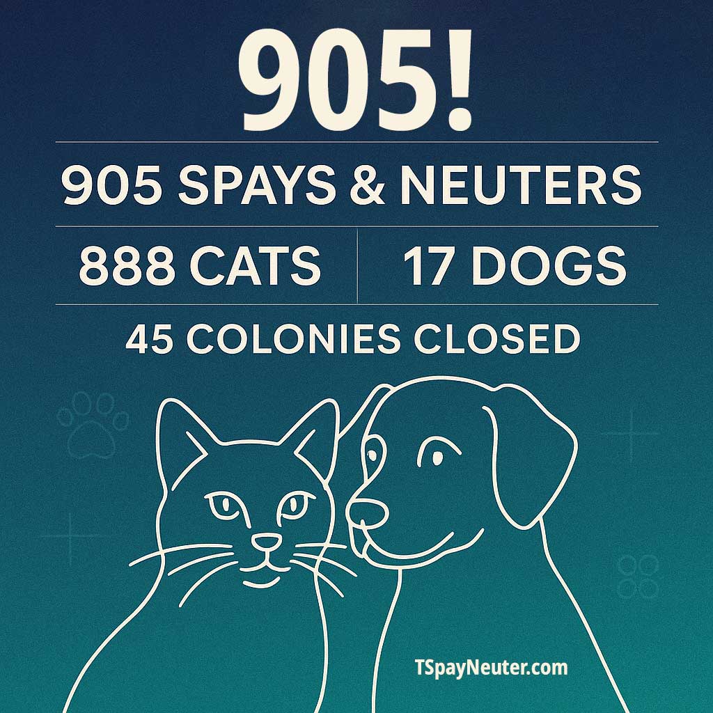 Spay & Neuter Update