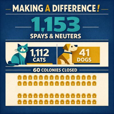 Tuolumne Spay and Neuter January 2026 Snip Report