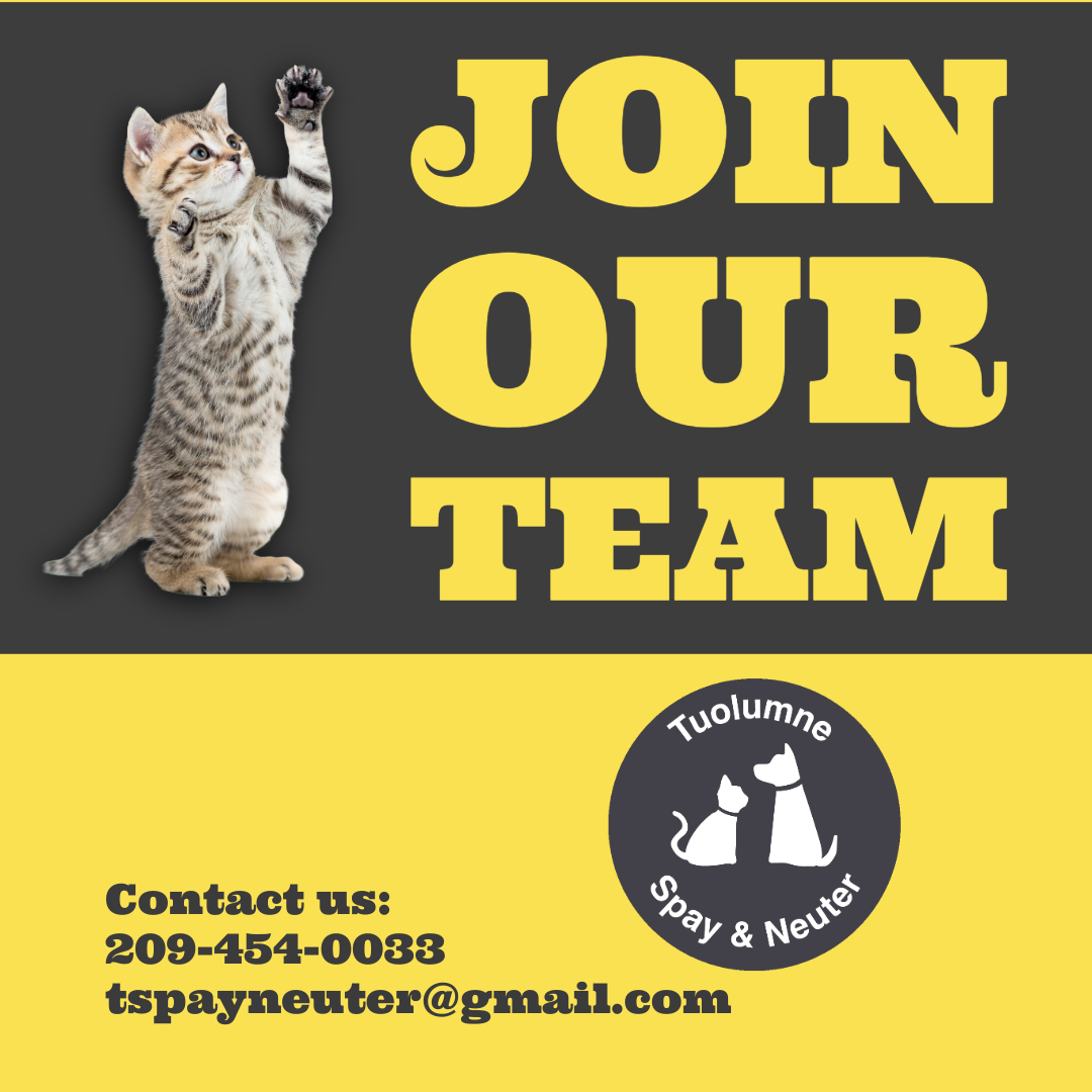 Join the Tuolumne Spay & Neuter Team!