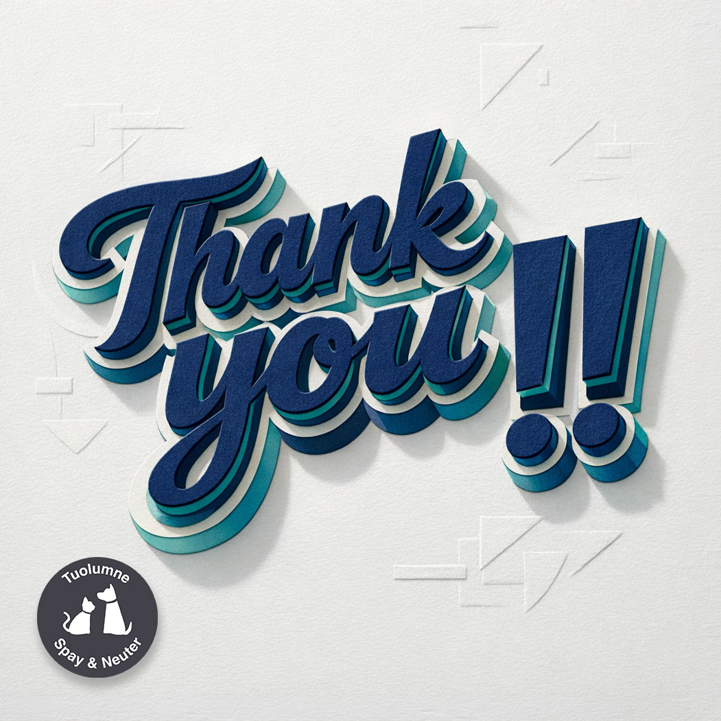 Thank you!!