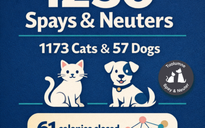 March 2026 Snip Report