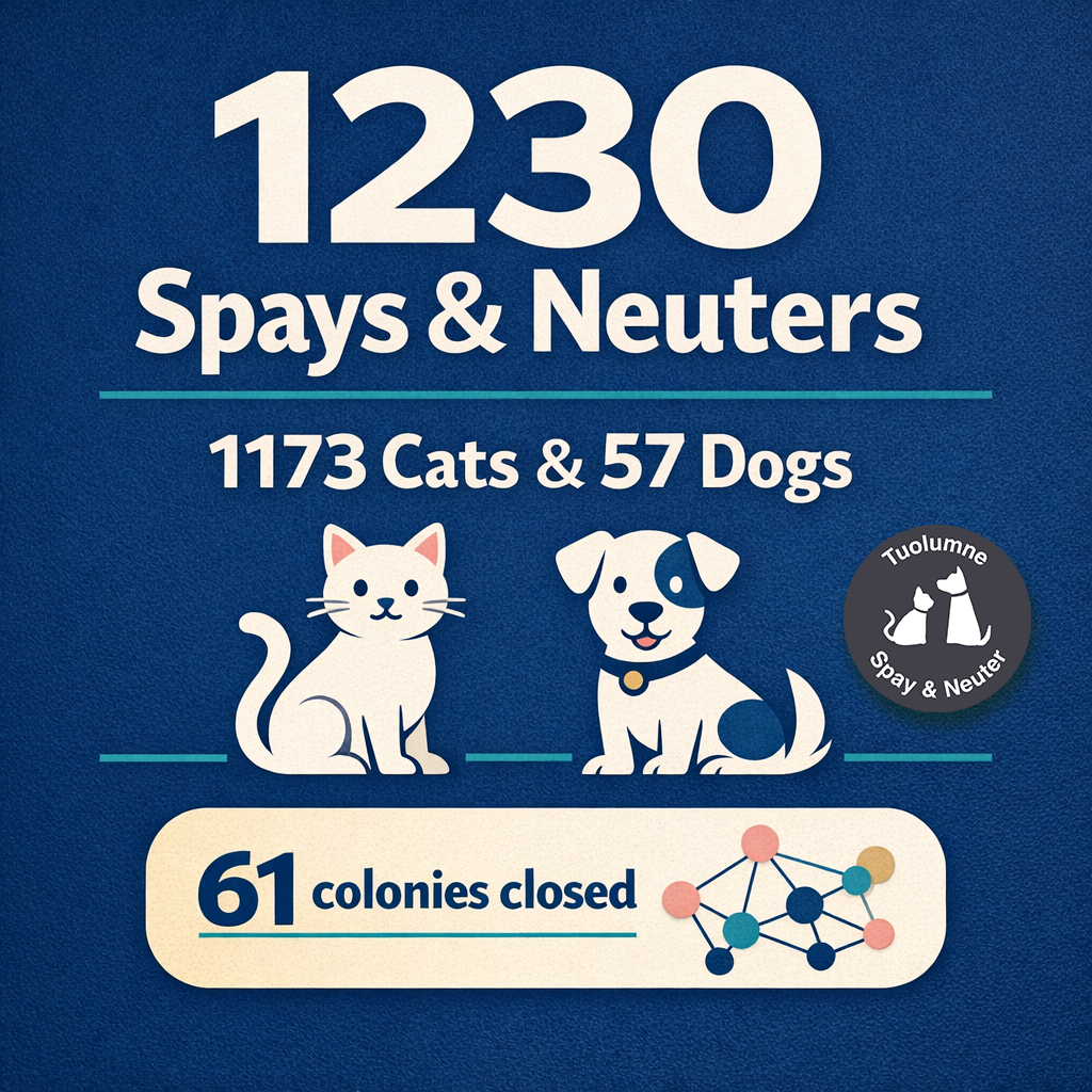 1230 total spays and neuters! 1173 cats, 57 dogs. 61 cat colonies closed.